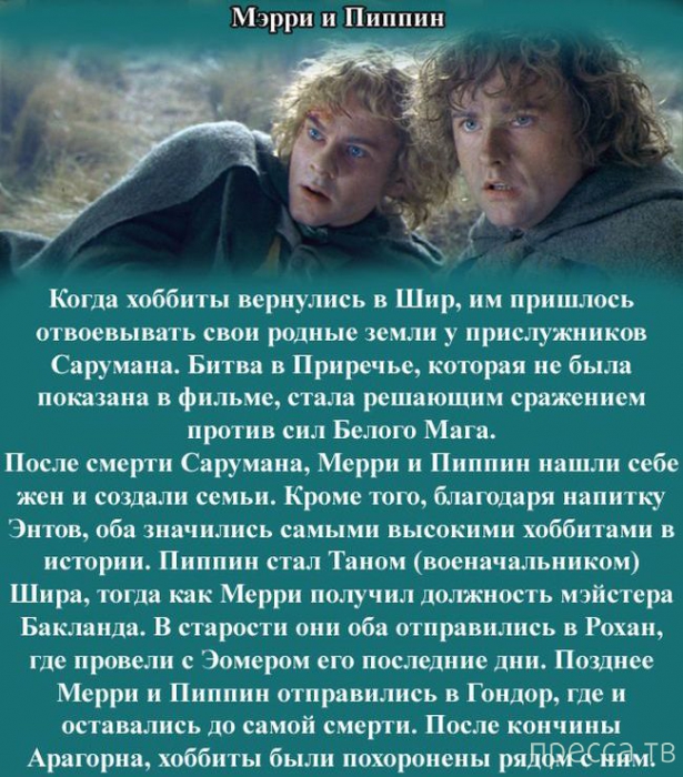 ������ ���������� ������ "��������� �����" (8 ����)