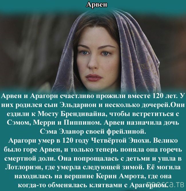 ������ ���������� ������ "��������� �����" (8 ����)