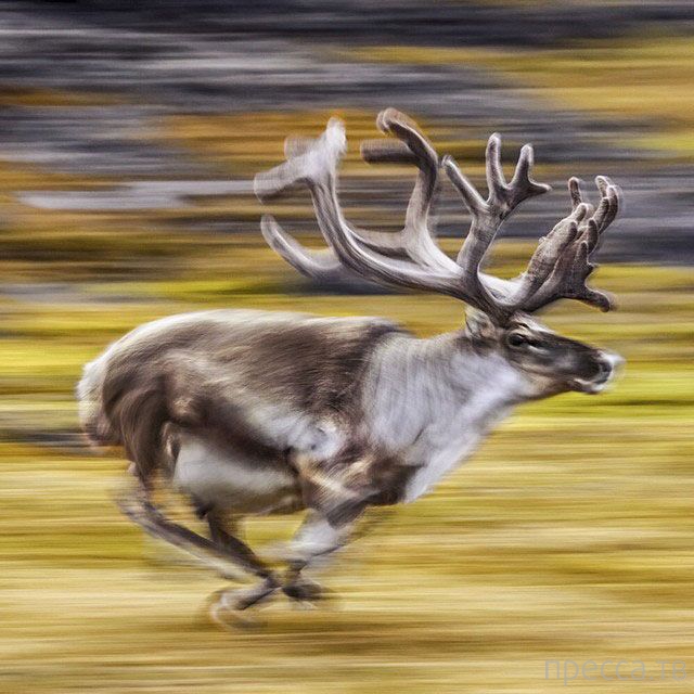   National Geographic  Instagram (39 )