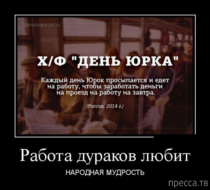 дураку полработы не показывают. картинки про дураков с надписями. цитаты про тварей. дуракам пол работы не показывают смысл. злорадство высказывания.