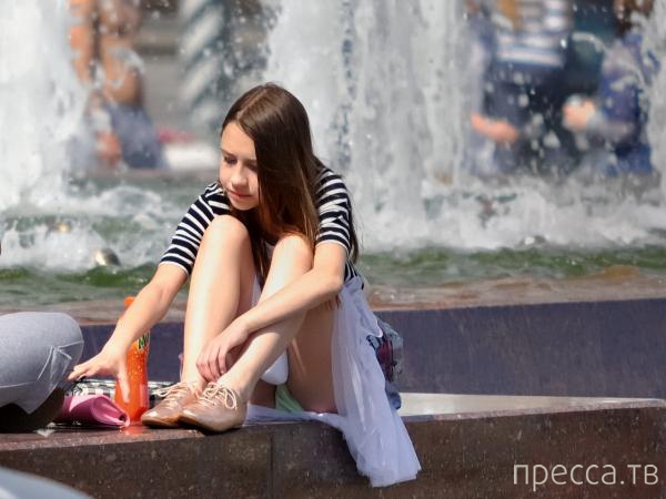 ���������� ��������� "�������" ������� (34 ����)