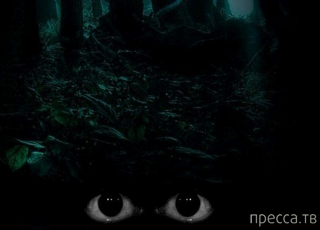 �������� �������� �������, ������� �� ������������ ���� ����� � ������� (14 ����)