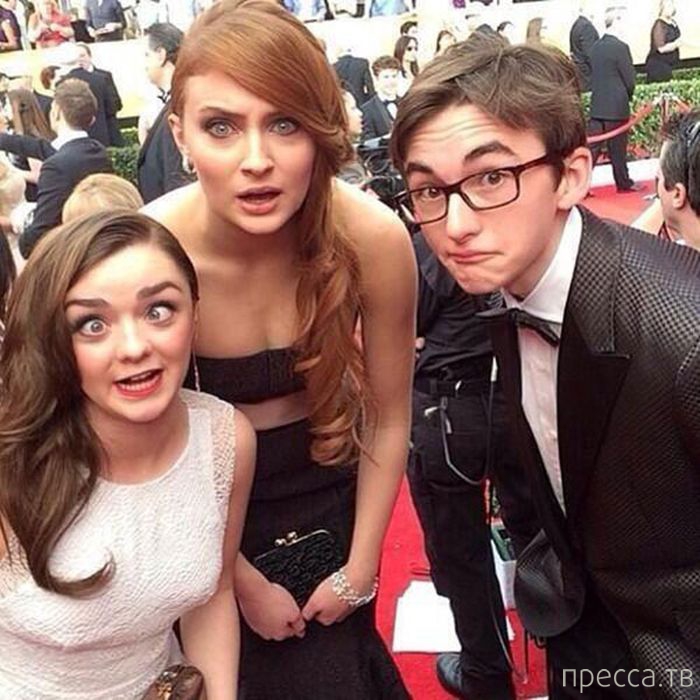 ������ �� ������� "���� ���������" � ������� ����� (33 ����)