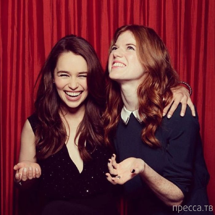 ������ �� ������� "���� ���������" � ������� ����� (33 ����)