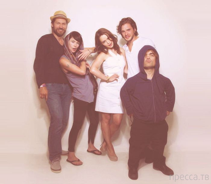 ������ �� ������� "���� ���������" � ������� ����� (33 ����)