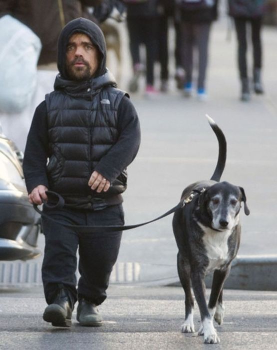 ������ �� ������� "���� ���������" � ������� ����� (33 ����)