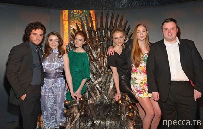 ������ �� ������� "���� ���������" � ������� ����� (33 ����)