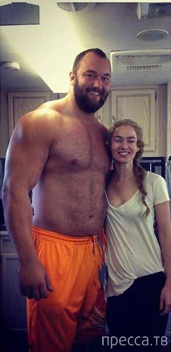 ������ �� ������� "���� ���������" � ������� ����� (33 ����)