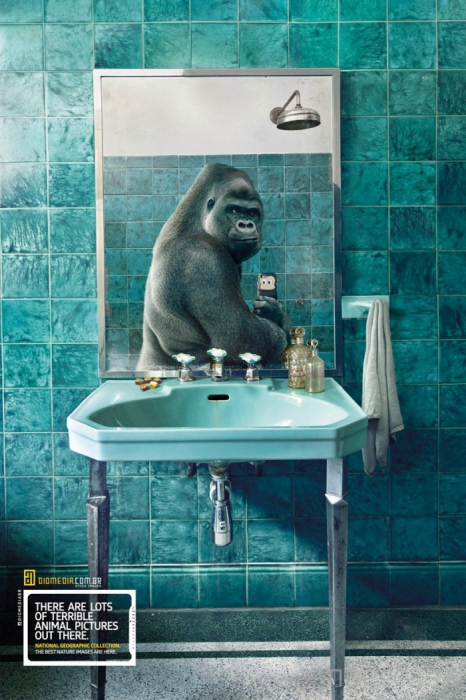          National Geographic (6 )