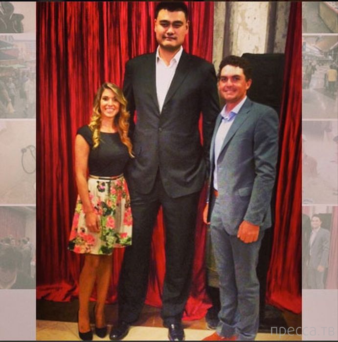 Яо Мин - самый высокий баскетболист в мире (47 фото) Яо Мин - самый высокий баскетболист в мире (47 фото)