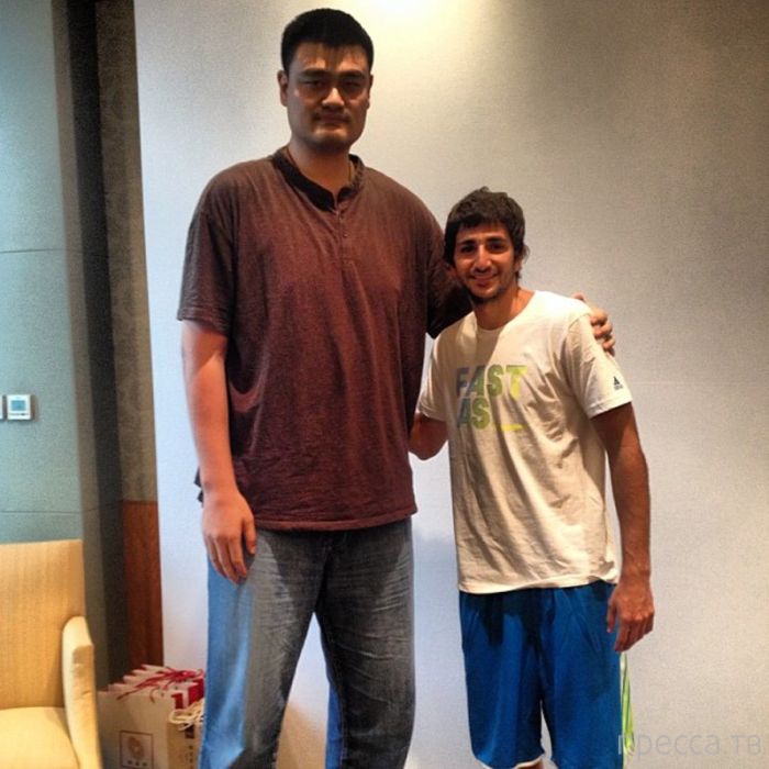 Яо Мин - самый высокий баскетболист в мире (47 фото) Яо Мин - самый высокий баскетболист в мире (47 фото)