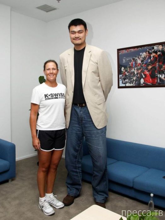 Яо Мин - самый высокий баскетболист в мире (47 фото) Яо Мин - самый высокий баскетболист в мире (47 фото)