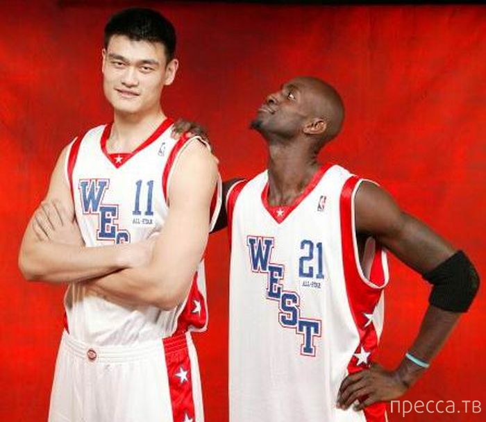 Яо Мин - самый высокий баскетболист в мире (47 фото) Яо Мин - самый высокий баскетболист в мире (47 фото)