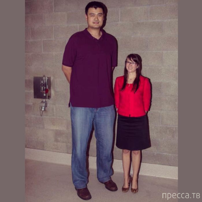 Яо Мин - самый высокий баскетболист в мире (47 фото) Яо Мин - самый высокий баскетболист в мире (47 фото)