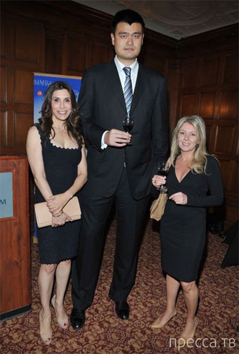 Яо Мин - самый высокий баскетболист в мире (47 фото) Яо Мин - самый высокий баскетболист в мире (47 фото)