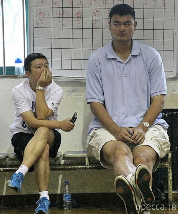 Яо Мин - самый высокий баскетболист в мире (47 фото) Яо Мин - самый высокий баскетболист в мире (47 фото)