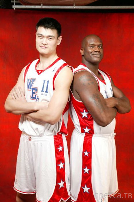 Яо Мин - самый высокий баскетболист в мире (47 фото) Яо Мин - самый высокий баскетболист в мире (47 фото)