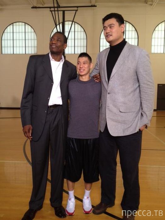 Яо Мин - самый высокий баскетболист в мире (47 фото) Яо Мин - самый высокий баскетболист в мире (47 фото)