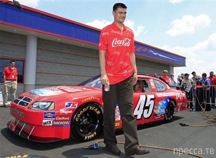 Яо Мин - самый высокий баскетболист в мире (47 фото) Яо Мин - самый высокий баскетболист в мире (47 фото)