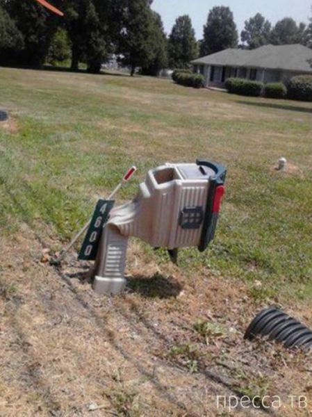 ���������� ���������� �� ���� : "������ ����" (24 ����)