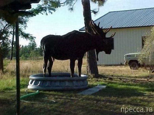 ���������� ���������� �� ���� : "������ ����" (24 ����)