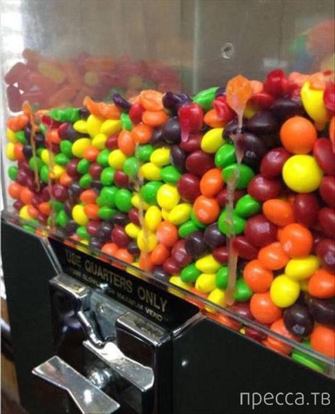 ���������� ���������� �� ���� : "������ ����" (24 ����)