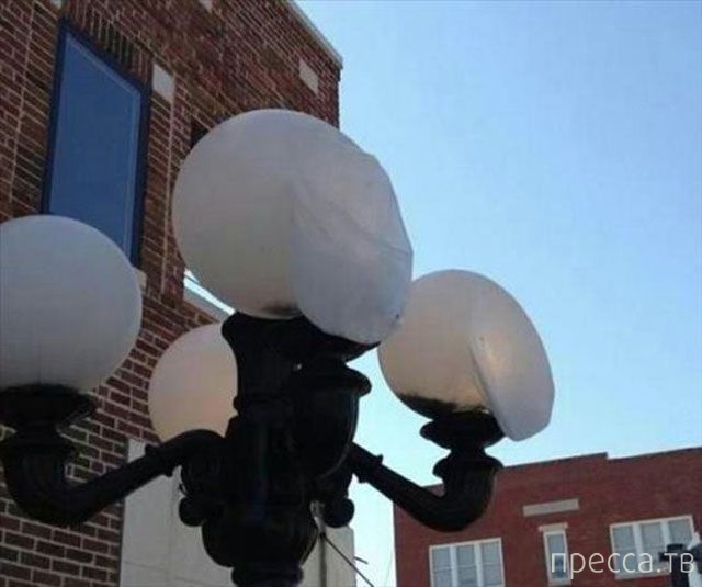 ���������� ���������� �� ���� : "������ ����" (24 ����)