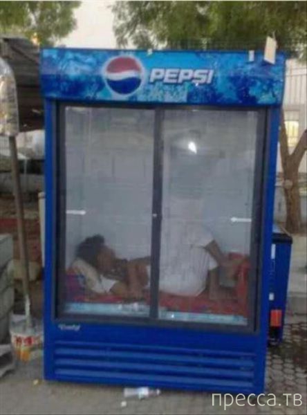 ���������� ���������� �� ���� : "������ ����" (24 ����)