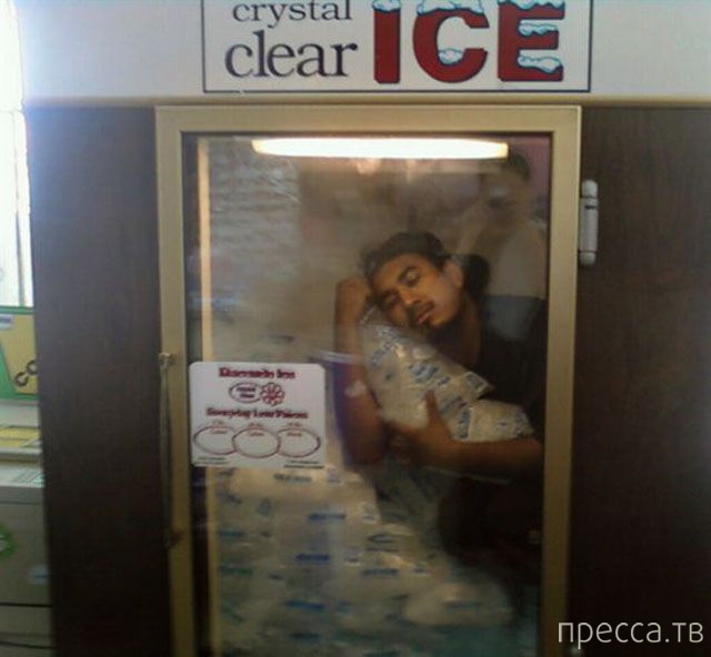 ���������� ���������� �� ���� : "������ ����" (24 ����)