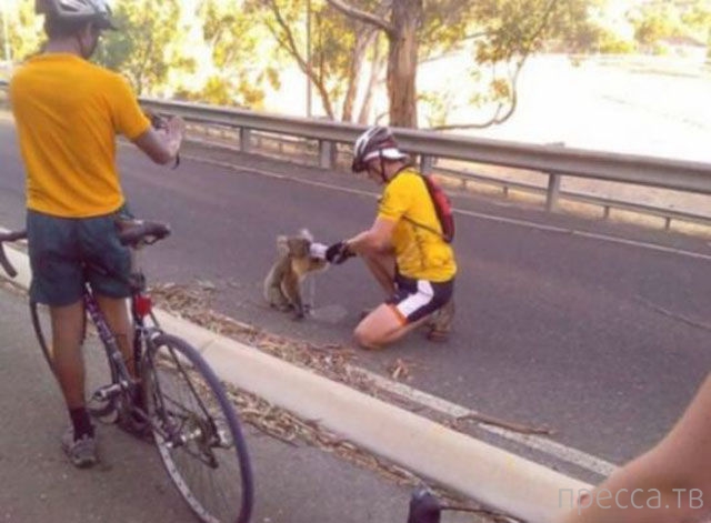 ���������� ���������� �� ���� : "������ ����" (24 ����)