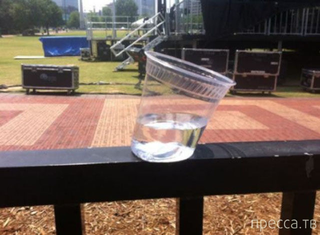 ���������� ���������� �� ���� : "������ ����" (24 ����)