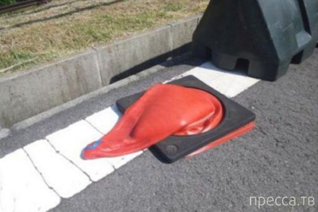 ���������� ���������� �� ���� : "������ ����" (24 ����)