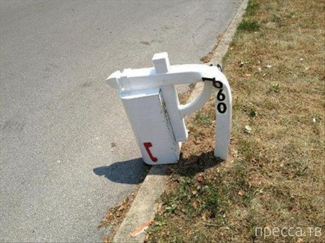 ���������� ���������� �� ���� : "������ ����" (24 ����)