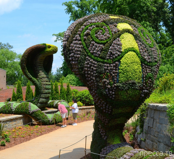 Скульптуры из растений в Ботаническом саду Атланты (12 фото)