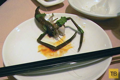 Топ 9: Самые странные блюда, которые подают в ресторанах мира (10 фото)