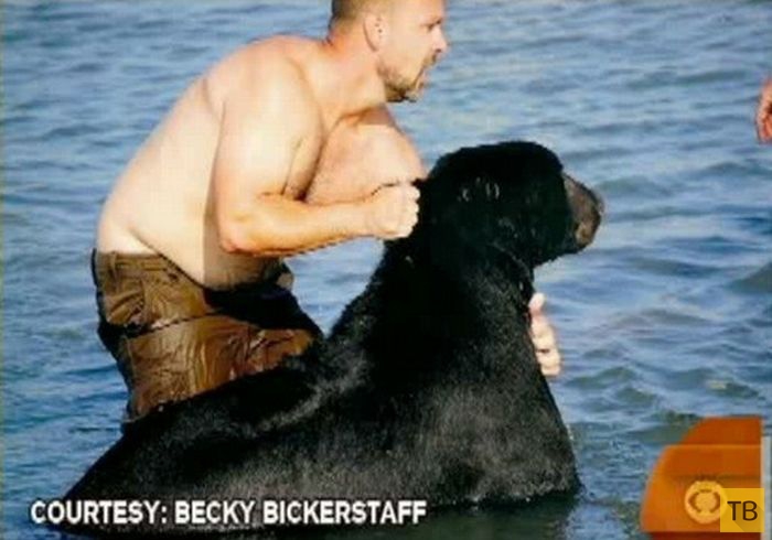 Во  Флориде мужчина спас тонущего в океане медведя (16 фото)