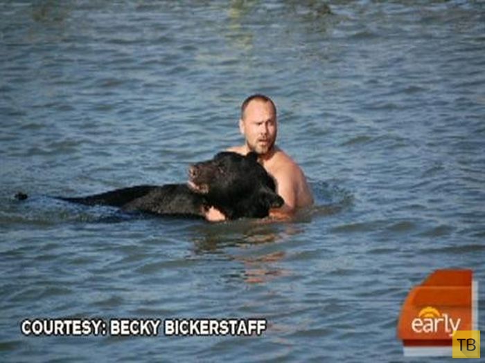 Во  Флориде мужчина спас тонущего в океане медведя (16 фото)