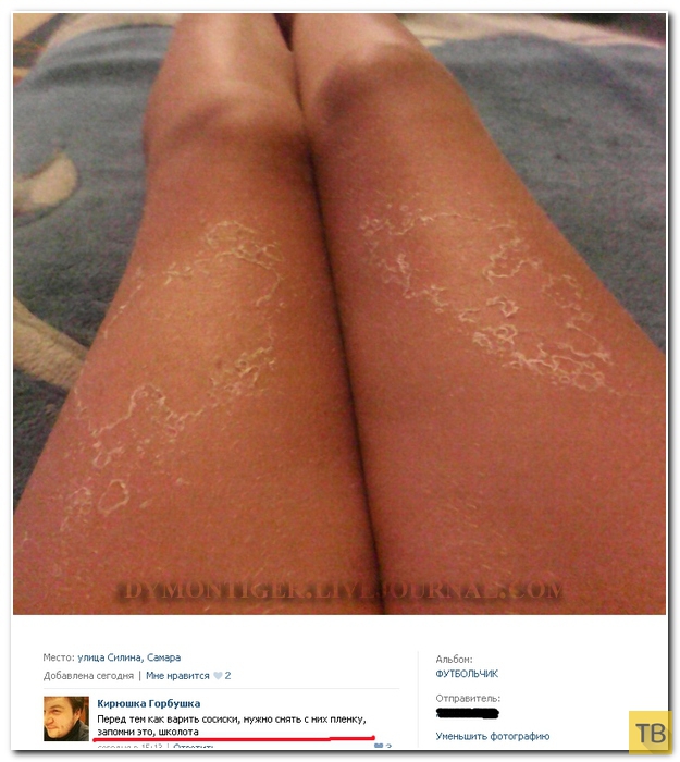 ���������� ����������� �� ���������� �����, ����� 186 (40 ����)