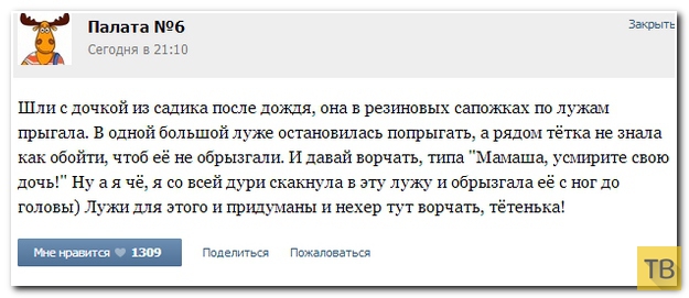 ���������� ����������� �� ���������� �����, ����� 186 (40 ����)