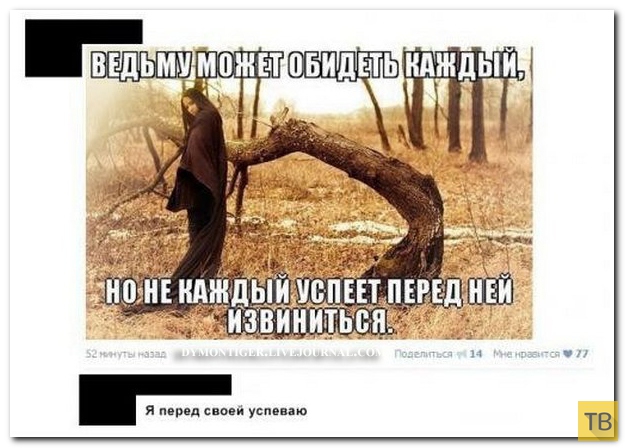 ���������� ����������� �� ���������� �����, ����� 186 (40 ����)