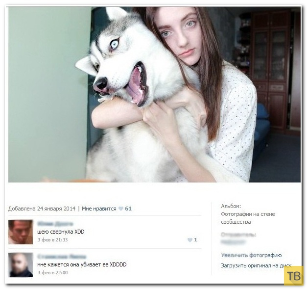 ���������� ����������� �� ���������� �����, ����� 186 (40 ����)