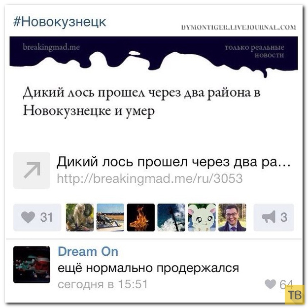 ���������� ����������� �� ���������� �����, ����� 186 (40 ����)