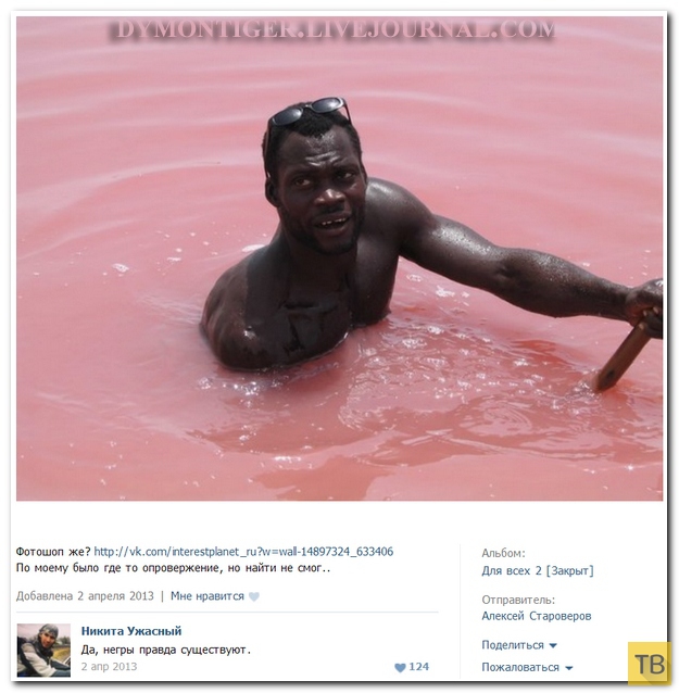 ���������� ����������� �� ���������� �����, ����� 186 (40 ����)