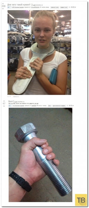 ���������� ����������� �� ���������� �����, ����� 186 (40 ����)