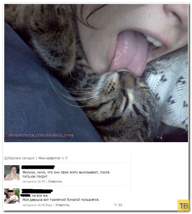 ���������� ����������� �� ���������� �����, ����� 186 (40 ����)