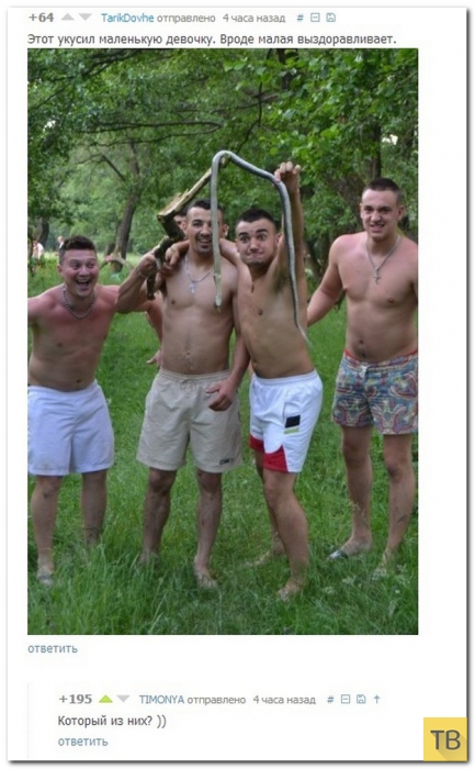 ���������� ����������� �� ���������� �����, ����� 187 (39 ����)