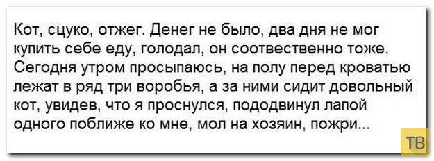 ���������� ����������� �� ���������� �����, ����� 187 (39 ����)