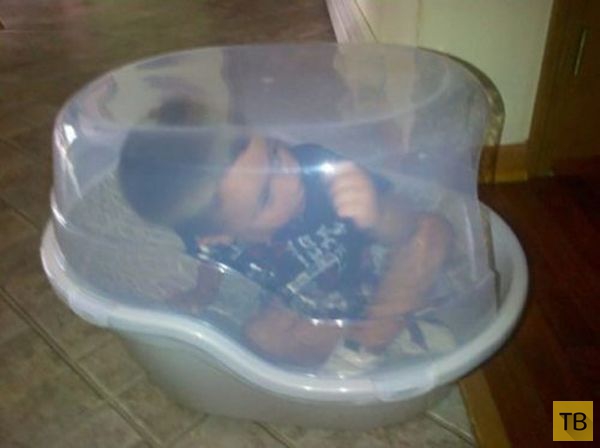 �������� ���������� ����������: ���� - ����� ����� (21 ����)