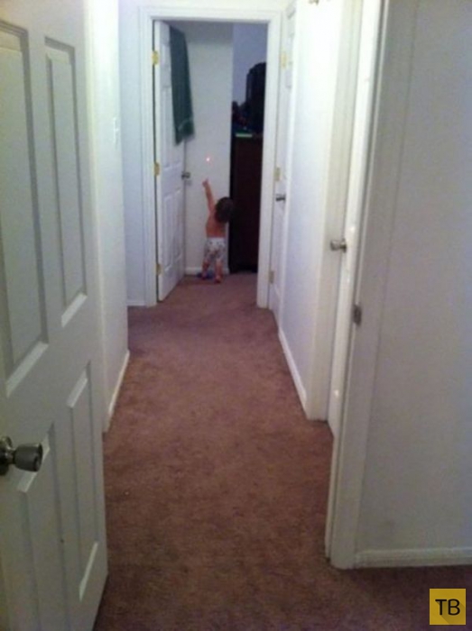 �������� ���������� ����������: ���� - ����� ����� (21 ����)