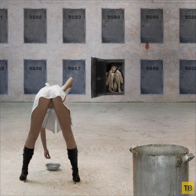 �������� � ������� ������� �� "�����������", ����� 16 (100 ����)